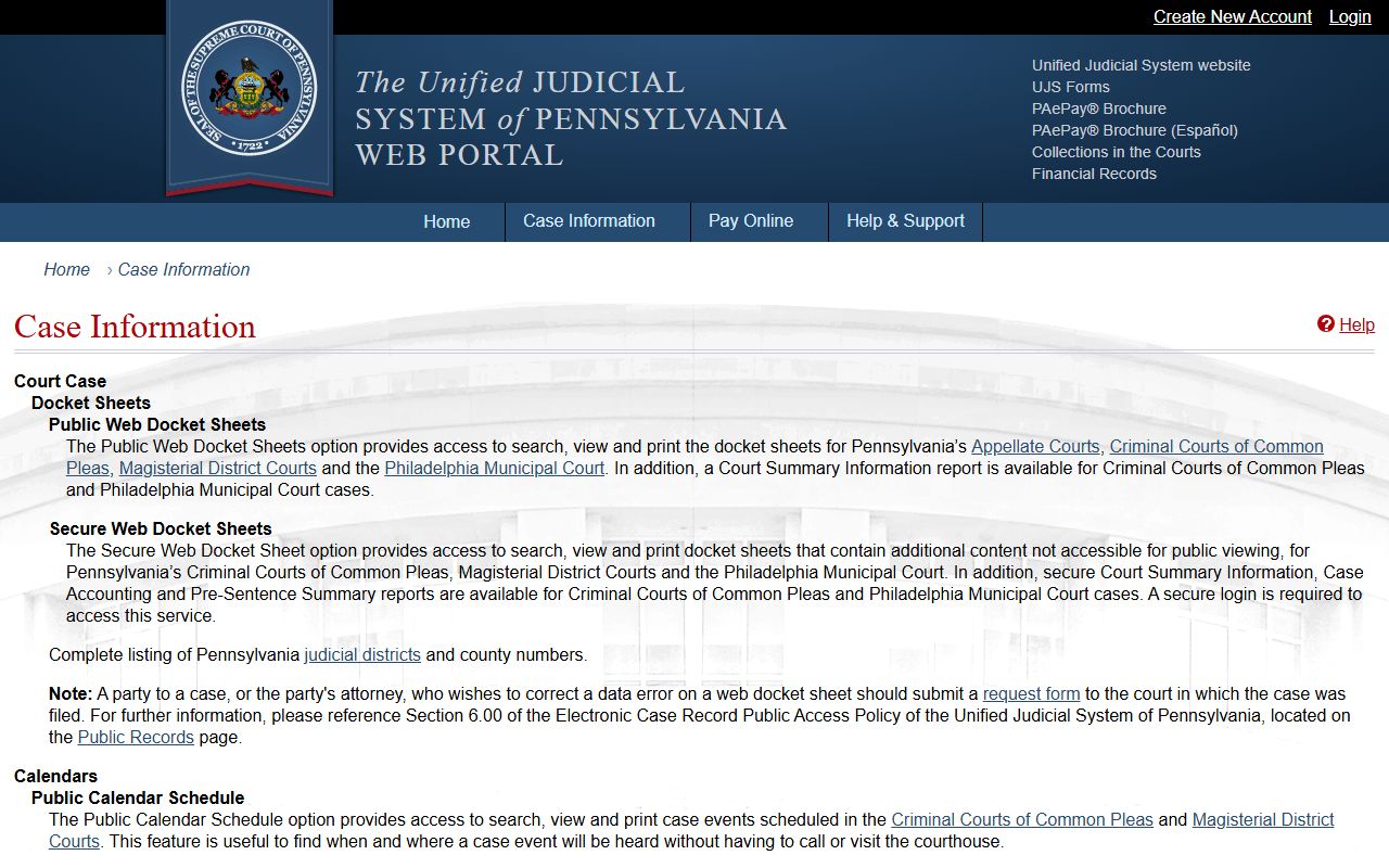 Snyder County court records UJS case information page